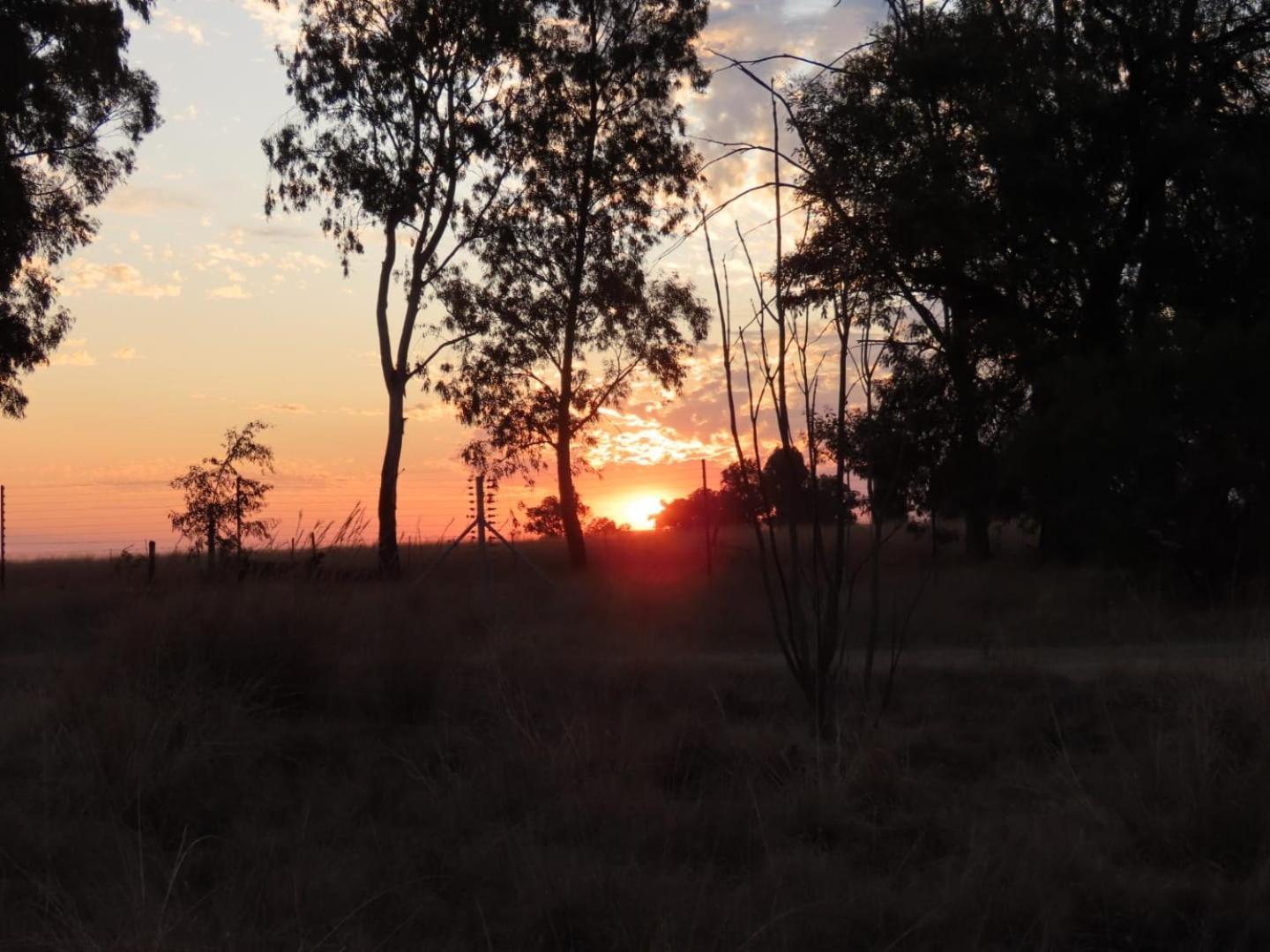 Sanctuary Life Guest Farm Hotel Magaliesburg Bagian luar foto