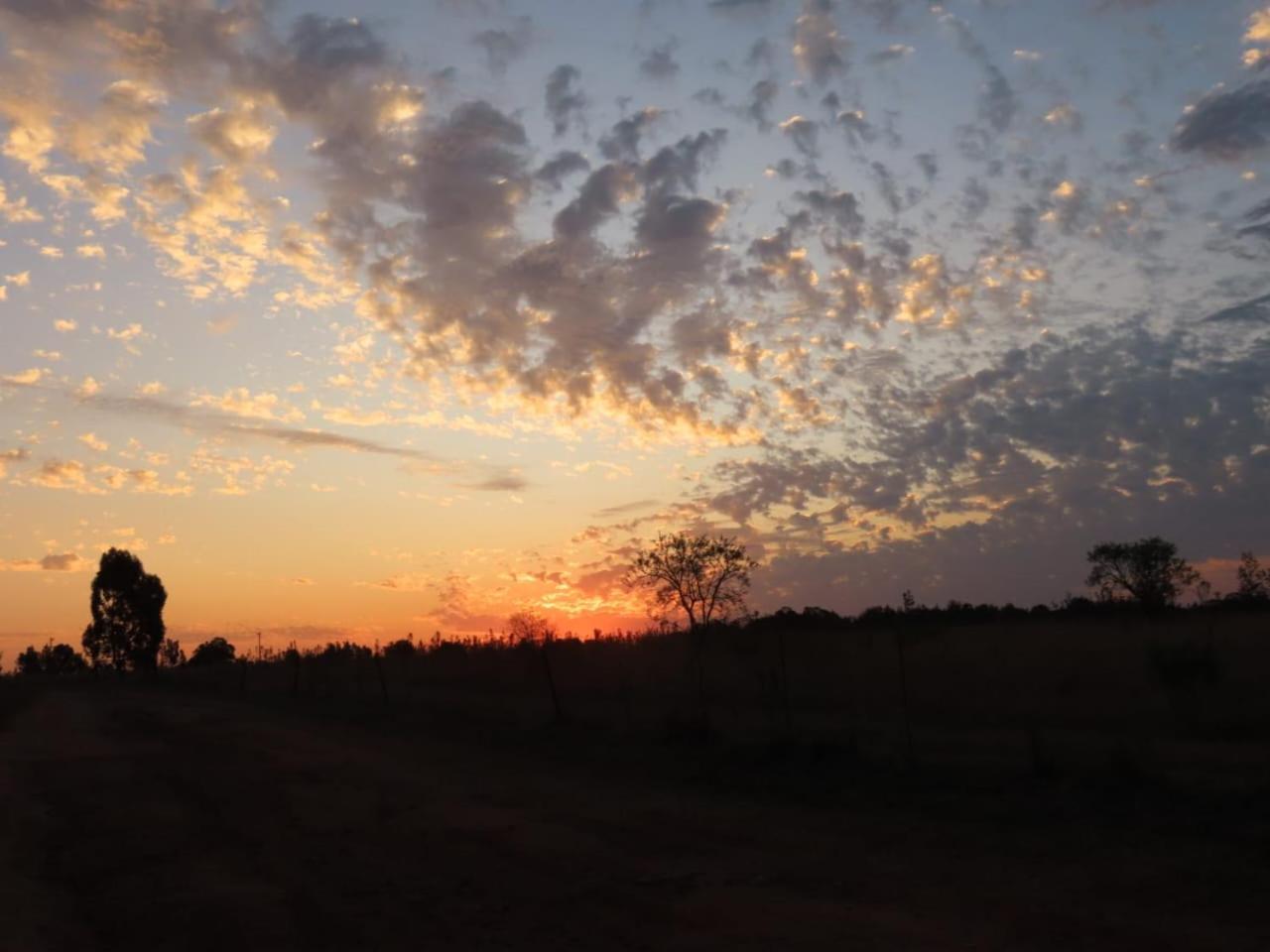 Sanctuary Life Guest Farm Hotel Magaliesburg Bagian luar foto