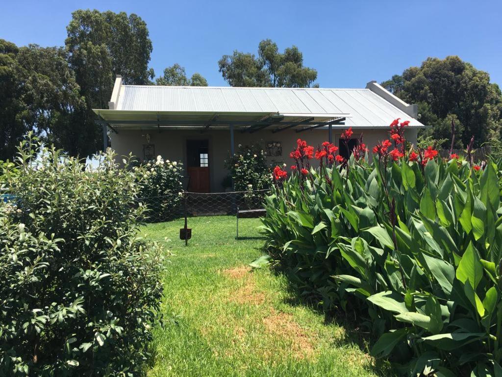 Sanctuary Life Guest Farm Hotel Magaliesburg Bagian luar foto