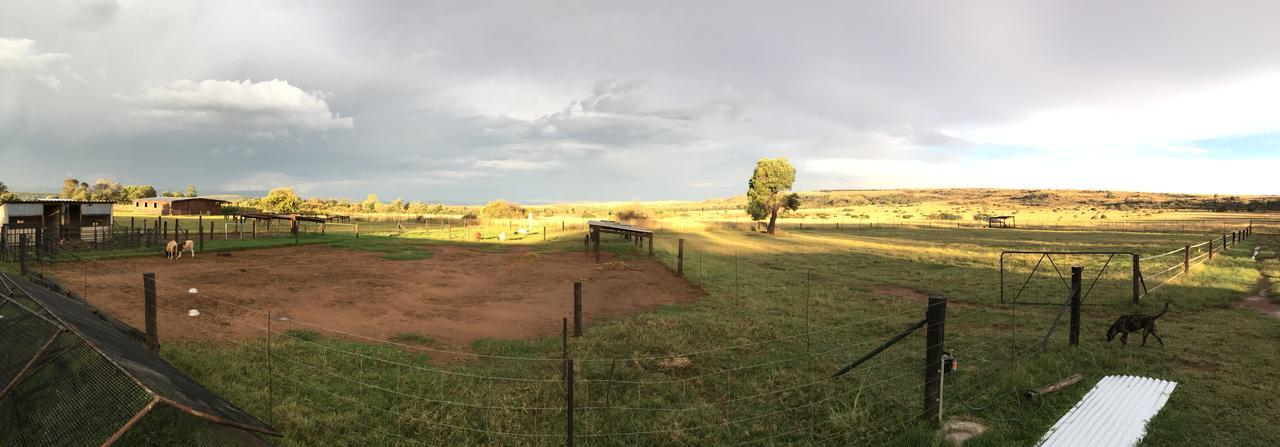 Sanctuary Life Guest Farm Hotel Magaliesburg Bagian luar foto