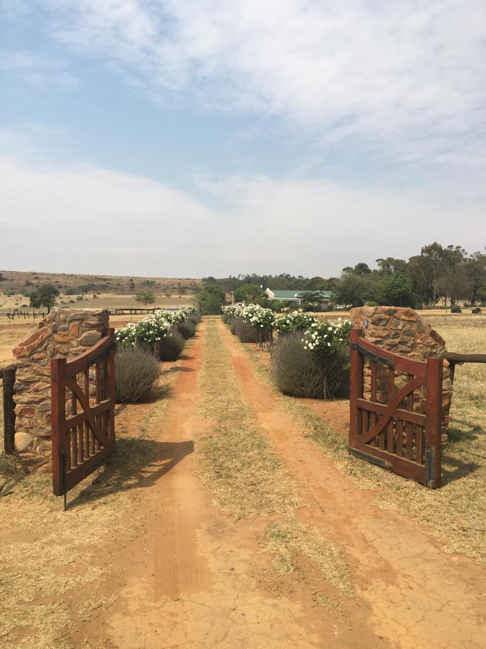 Sanctuary Life Guest Farm Hotel Magaliesburg Bagian luar foto