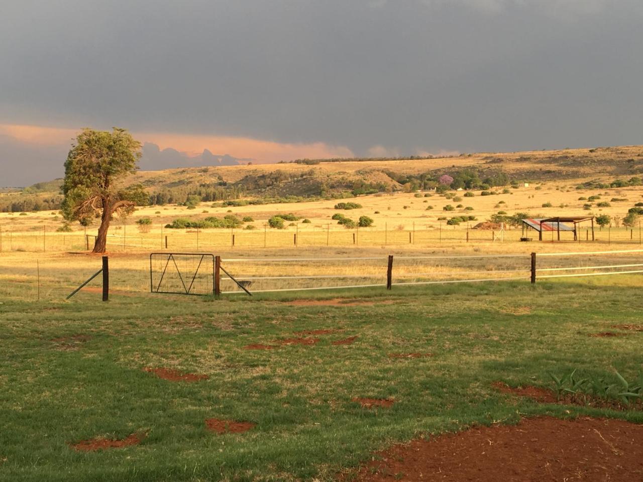 Sanctuary Life Guest Farm Hotel Magaliesburg Bagian luar foto